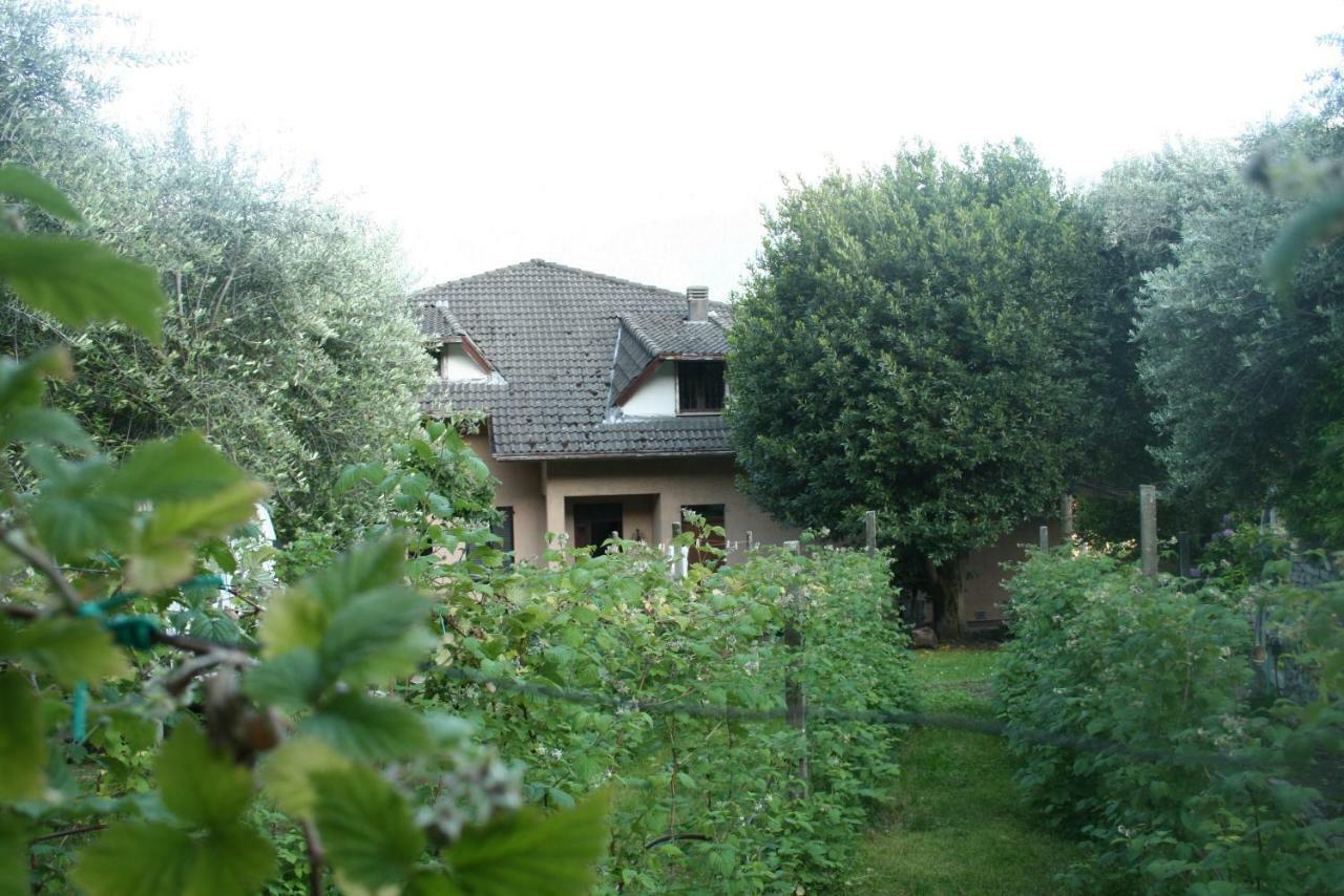 Agriturismo Badalone Domaso Exteriér fotografie