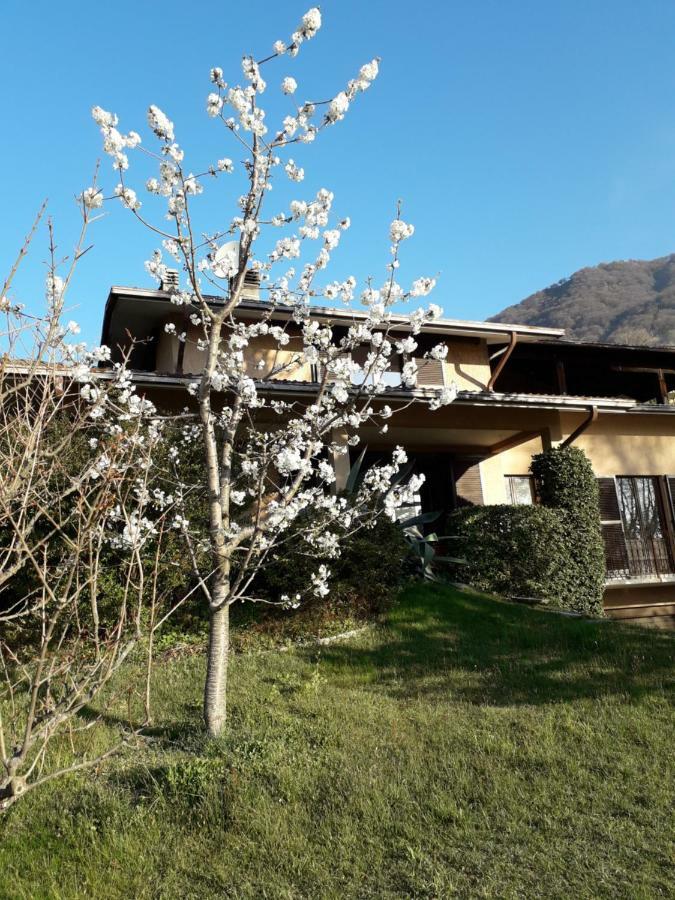 Agriturismo Badalone Domaso Exteriér fotografie